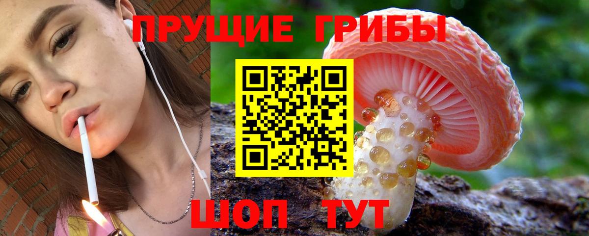 Зеленокумск  Псилоцибиновые грибы ЛСД  Вход с VPN 